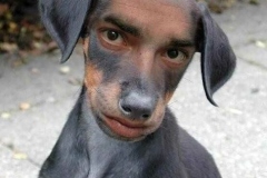 dec40f1d61f4a8f0eb18725c9d114f6c