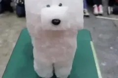 nintchdbpict000375931866